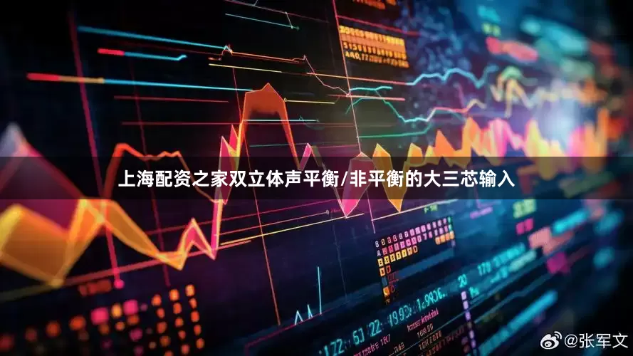 上海配资之家双立体声平衡/非平衡的大三芯输入