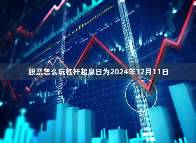 股票怎么玩杠杆起息日为2024年12月11日