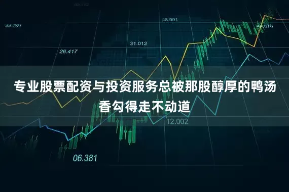 专业股票配资与投资服务总被那股醇厚的鸭汤香勾得走不动道