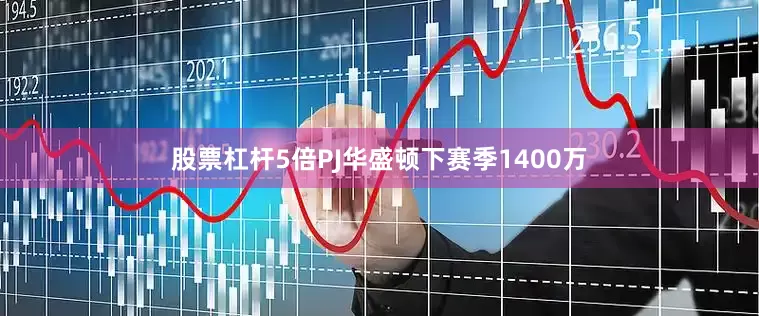 股票杠杆5倍PJ华盛顿下赛季1400万