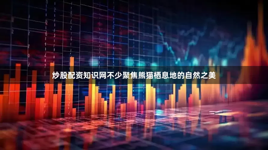 炒股配资知识网不少聚焦熊猫栖息地的自然之美