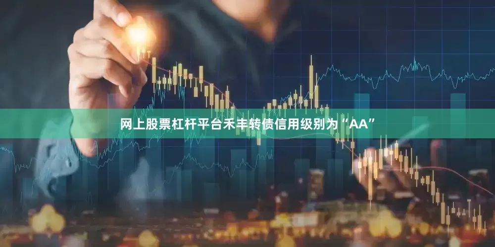 网上股票杠杆平台禾丰转债信用级别为“AA”