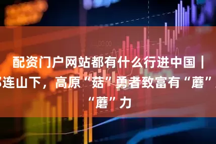 配资门户网站都有什么行进中国｜祁连山下，高原“菇”勇者致富有“蘑”力